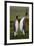 Pair of Penguins. Small and Big Bird. Male and Female of Penguin. King Penguin Couple Cuddling in W-Ondrej Prosicky-Framed Photographic Print