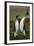 Pair of Penguins. Small and Big Bird. Male and Female of Penguin. King Penguin Couple Cuddling in W-Ondrej Prosicky-Framed Photographic Print