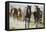 Pair of Running Quarter Horses-DLILLC-Framed Premier Image Canvas