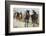 Pair of Running Quarter Horses-DLILLC-Framed Photographic Print