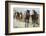 Pair of Running Quarter Horses-DLILLC-Framed Photographic Print
