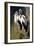 Pair of Shoe billed Storks-Vivienne Dupont-Framed Art Print