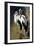 Pair of Shoe billed Storks-Vivienne Dupont-Framed Art Print