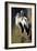 Pair of Shoe billed Storks-Vivienne Dupont-Framed Art Print