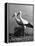 Pair of the Many Storks in the City of Copenhagen-John Phillips-Framed Premier Image Canvas