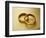 Pair of Wedding Bands-Christopher C Collins-Framed Photographic Print