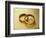 Pair of Wedding Bands-Christopher C Collins-Framed Photographic Print