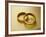 Pair of Wedding Bands-Christopher C Collins-Framed Photographic Print