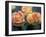 Pair of Yellow and Orange Roses-Adam Jones-Framed Photographic Print