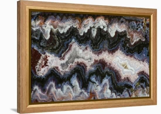 Paisley Agate-Darrell Gulin-Framed Premier Image Canvas