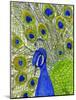 Paisley B Peacock-Blenda Tyvoll-Mounted Giclee Print