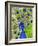 Paisley B Peacock-Blenda Tyvoll-Framed Giclee Print