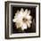 Paisley Blossom II-Keith Mallett-Framed Art Print