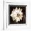 Paisley Blossom II-Keith Mallett-Framed Art Print