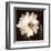 Paisley Blossom II-Keith Mallett-Framed Art Print