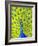 Paisley Peacock-Blenda Tyvoll-Framed Giclee Print