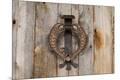 Premium Photographic Print