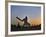 Pakistan Daily Life-Anjum Naveed-Framed Photographic Print