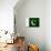 Pakistan Flag Design with Wood Patterning - Flags of the World Series-Philippe Hugonnard-Premium Giclee Print displayed on a wall