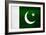 Pakistan Flag Design with Wood Patterning - Flags of the World Series-Philippe Hugonnard-Framed Premium Giclee Print