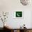 Pakistan Flag Design with Wood Patterning - Flags of the World Series-Philippe Hugonnard-Framed Premium Giclee Print displayed on a wall