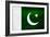 Pakistan Flag Design with Wood Patterning - Flags of the World Series-Philippe Hugonnard-Framed Premium Giclee Print