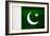 Pakistan Flag Design with Wood Patterning - Flags of the World Series-Philippe Hugonnard-Framed Premium Giclee Print