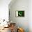 Pakistan Flag Design with Wood Patterning - Flags of the World Series-Philippe Hugonnard-Framed Stretched Canvas displayed on a wall