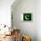 Pakistan Flag Design with Wood Patterning - Flags of the World Series-Philippe Hugonnard-Framed Stretched Canvas displayed on a wall