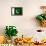 Pakistan Flag Design with Wood Patterning - Flags of the World Series-Philippe Hugonnard-Framed Stretched Canvas displayed on a wall