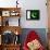 Pakistan Flag Design with Wood Patterning - Flags of the World Series-Philippe Hugonnard-Framed Stretched Canvas displayed on a wall