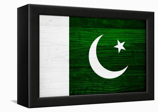 Pakistan Flag Design with Wood Patterning - Flags of the World Series-Philippe Hugonnard-Framed Stretched Canvas