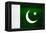 Pakistan Flag Design with Wood Patterning - Flags of the World Series-Philippe Hugonnard-Framed Stretched Canvas