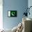 Pakistan Flag Design with Wood Patterning - Flags of the World Series-Philippe Hugonnard-Framed Stretched Canvas displayed on a wall