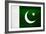 Pakistan Flag Design with Wood Patterning - Flags of the World Series-Philippe Hugonnard-Framed Art Print