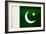 Pakistan Flag Design with Wood Patterning - Flags of the World Series-Philippe Hugonnard-Framed Art Print