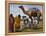 Pakistan Folk Dancers Perform; Owner Sits with His Camel, Annual Festival Horse and Cattle Show-null-Framed Premier Image Canvas