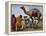 Pakistan Folk Dancers Perform; Owner Sits with His Camel, Annual Festival Horse and Cattle Show-null-Framed Premier Image Canvas