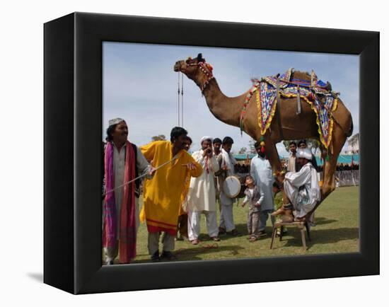 Pakistan Folk Dancers Perform; Owner Sits with His Camel, Annual Festival Horse and Cattle Show-null-Framed Premier Image Canvas