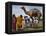 Pakistan Folk Dancers Perform; Owner Sits with His Camel, Annual Festival Horse and Cattle Show-null-Framed Premier Image Canvas