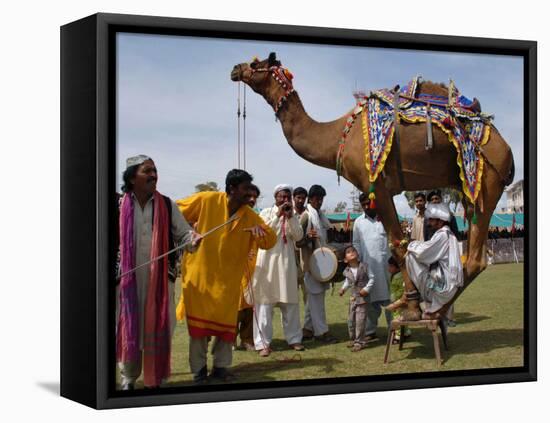 Pakistan Folk Dancers Perform; Owner Sits with His Camel, Annual Festival Horse and Cattle Show-null-Framed Premier Image Canvas