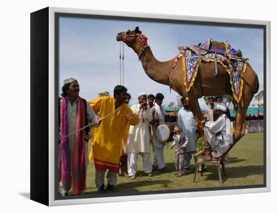 Pakistan Folk Dancers Perform; Owner Sits with His Camel, Annual Festival Horse and Cattle Show-null-Framed Premier Image Canvas