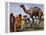 Pakistan Folk Dancers Perform; Owner Sits with His Camel, Annual Festival Horse and Cattle Show-null-Framed Premier Image Canvas
