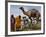 Pakistan Folk Dancers Perform; Owner Sits with His Camel, Annual Festival Horse and Cattle Show-null-Framed Photographic Print