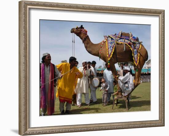 Pakistan Folk Dancers Perform; Owner Sits with His Camel, Annual Festival Horse and Cattle Show-null-Framed Photographic Print