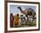 Pakistan Folk Dancers Perform; Owner Sits with His Camel, Annual Festival Horse and Cattle Show-null-Framed Photographic Print