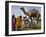 Pakistan Folk Dancers Perform; Owner Sits with His Camel, Annual Festival Horse and Cattle Show-null-Framed Photographic Print