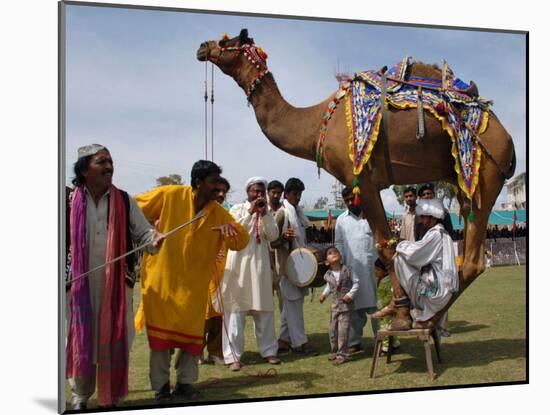 Pakistan Folk Dancers Perform; Owner Sits with His Camel, Annual Festival Horse and Cattle Show-null-Mounted Photographic Print