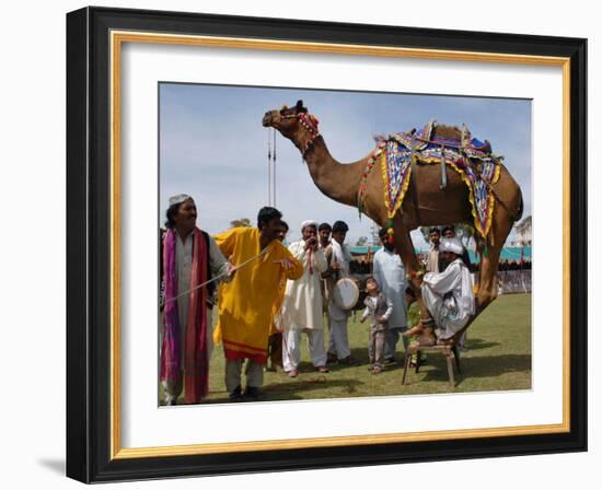 Pakistan Folk Dancers Perform; Owner Sits with His Camel, Annual Festival Horse and Cattle Show-null-Framed Photographic Print