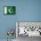 Pakistani Flag-daboost-Framed Stretched Canvas displayed on a wall